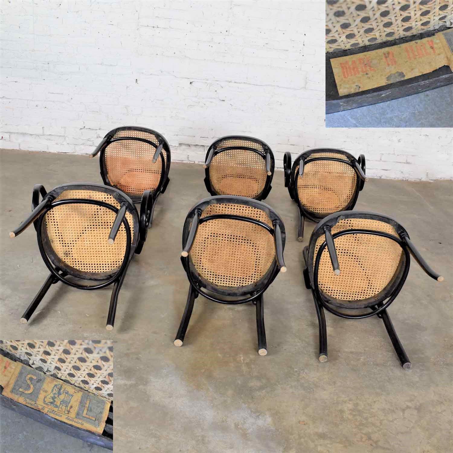 Set of 6 #17 Gebruder Thonet Style Black & Natural Tall Bentwood Chairs by Salvatore Leone