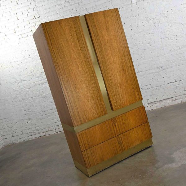 Vintage Modern Rosewood & Brass Plate Wardrobe or Chifforobe by Milo Baughman Thayer Coggin