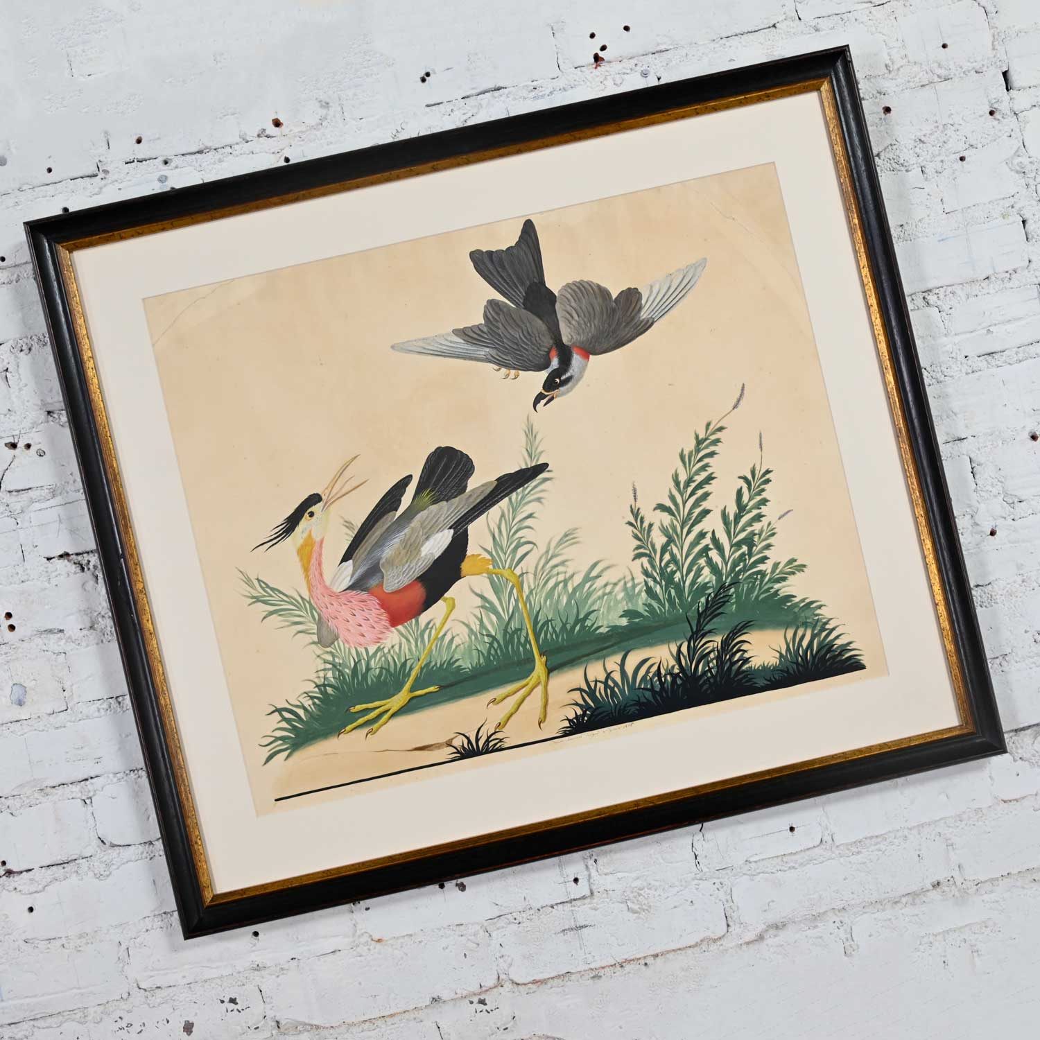 Vintage Vittorio Raineri Authentic Signed Watercolor Painting of Exotic Birds Dated 1836
