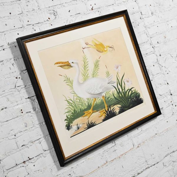 Vintage Vittorio Raineri Watercolor Painting of Pelican & Egret 1837