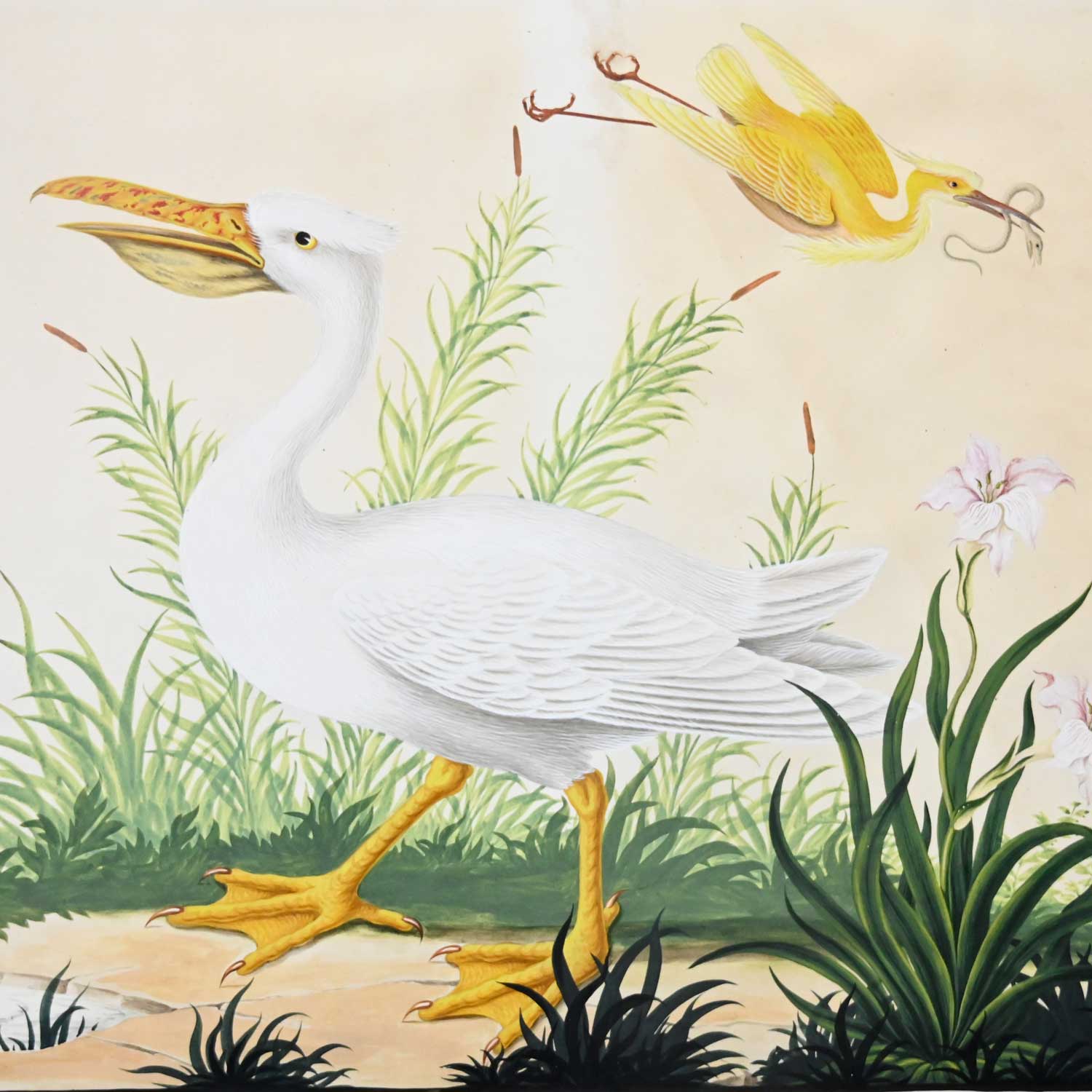 Vintage Vittorio Raineri Watercolor Painting of Pelican & Egret 1837