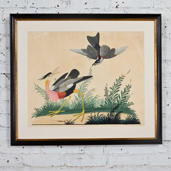 Vintage Vittorio Raineri Authentic Signed Watercolor Painting of Exotic Birds Dated 1836