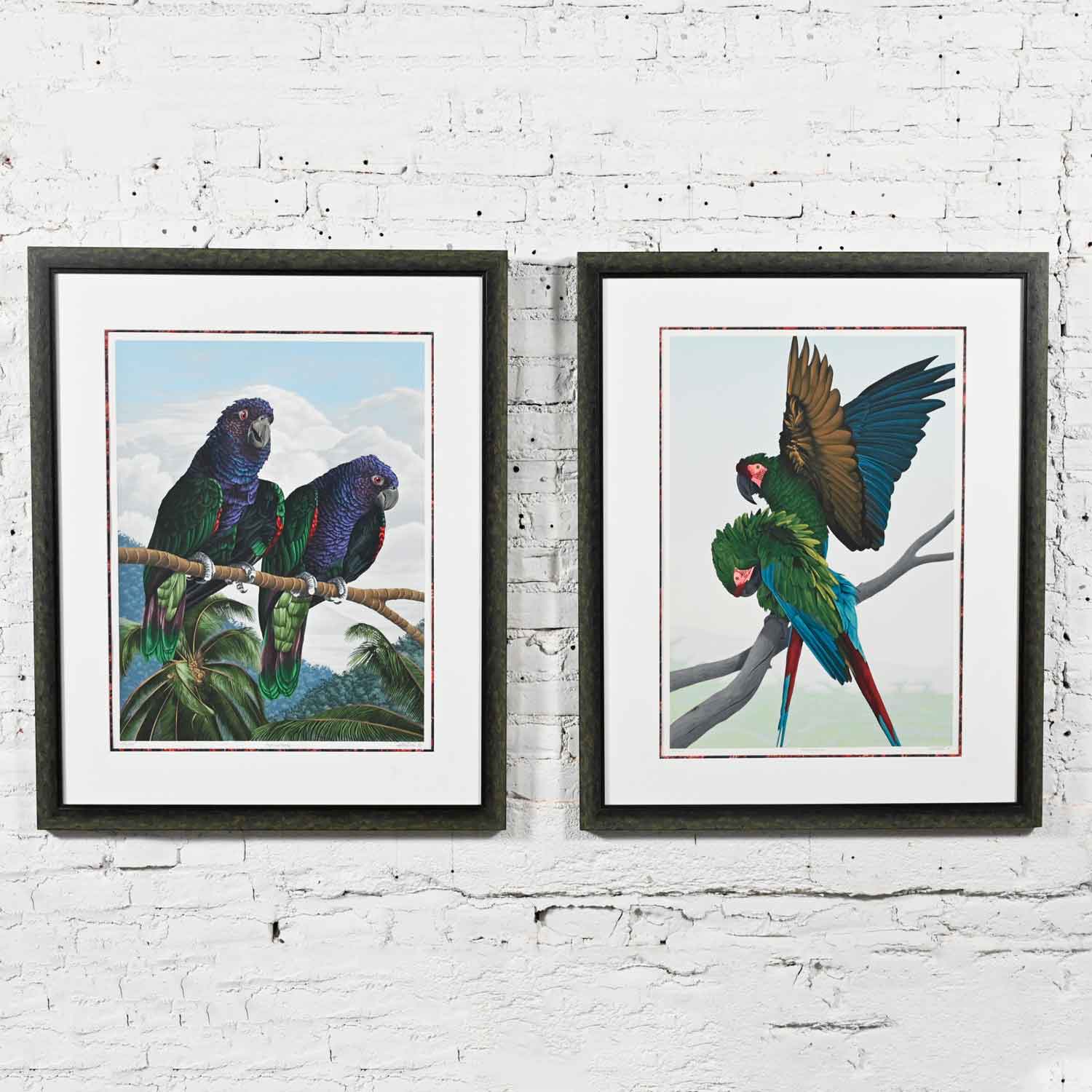 Vintage Dallas John Limited Edition Hand Signed Imperial Mates & Military Macaws Fine Art Serigraph Parrots