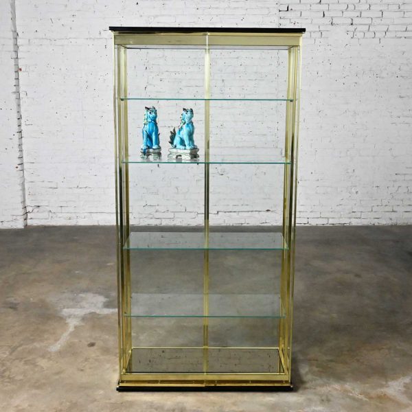 Modern All Glass Lighted Display Cabinet Brass Plated Framework by Design Institute of America or DIA