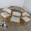 Vintage Modern Classic Steelcase Snodgrass Dining Chairs in Light Oak Bentwood by Warren Snodgrass Set of 8