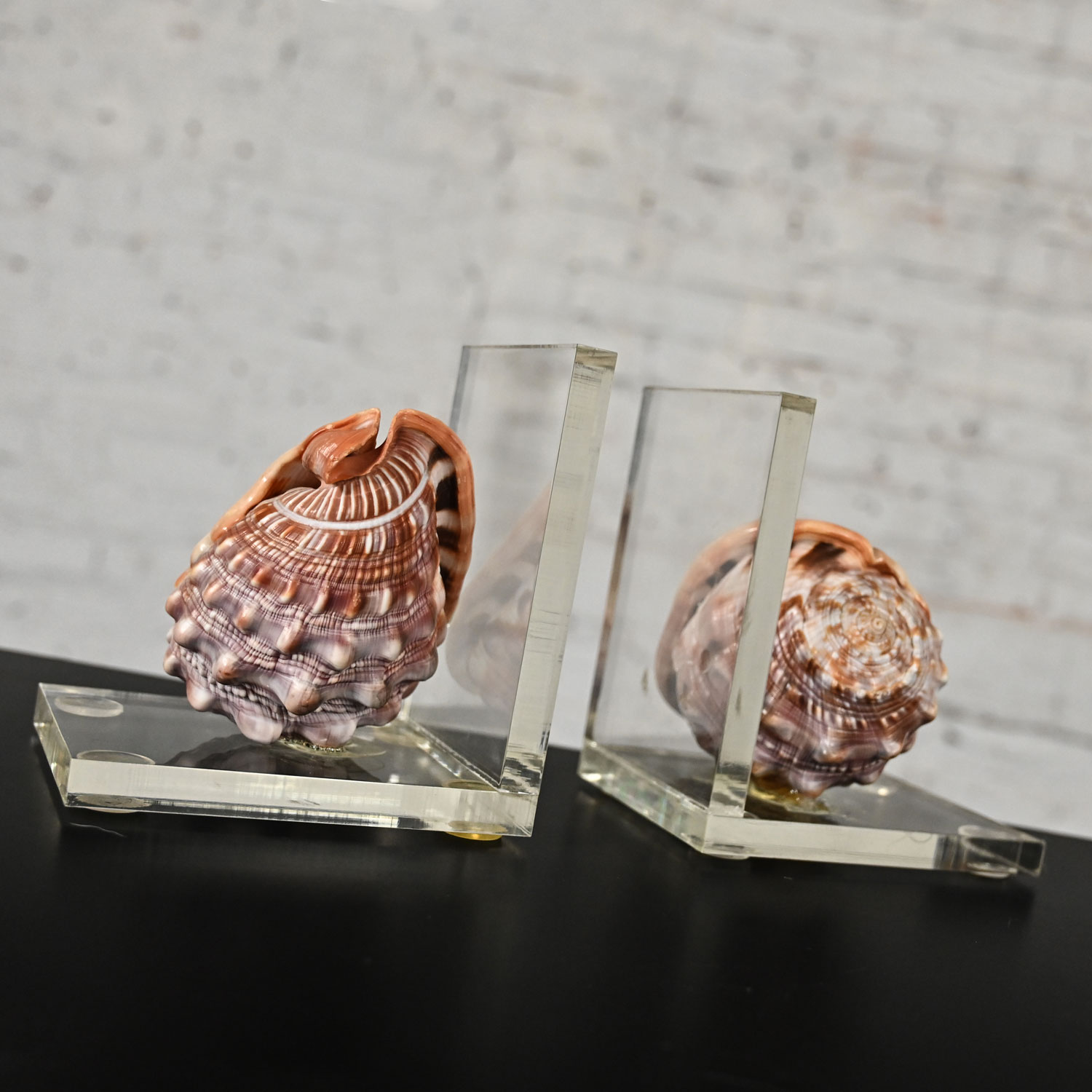 Early to Mid-20th Century Art Deco Conch Shell and Lucite Bookends