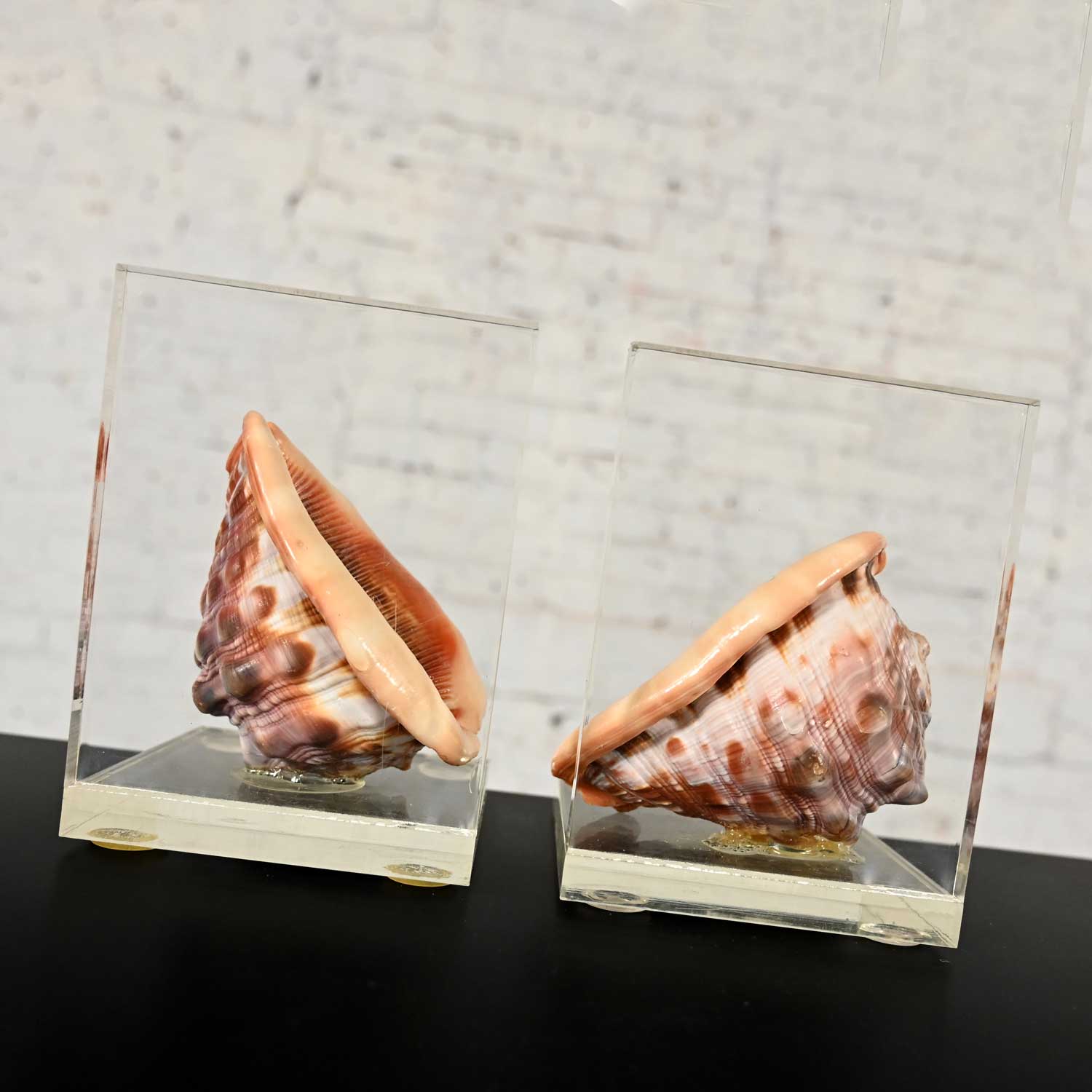 Early to Mid-20th Century Art Deco Conch Shell and Lucite Bookends